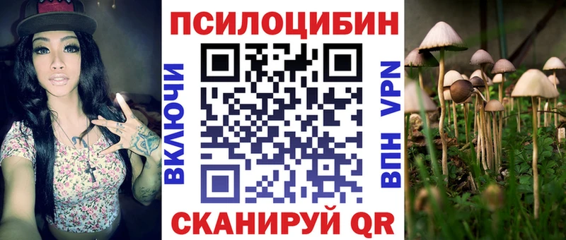 Галлюциногенные грибы GOLDEN TEACHER  цена   Нахабино 