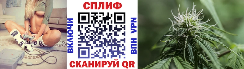 даркнет сайт Нахабино Бошки марихуана SATIVA & INDICA
